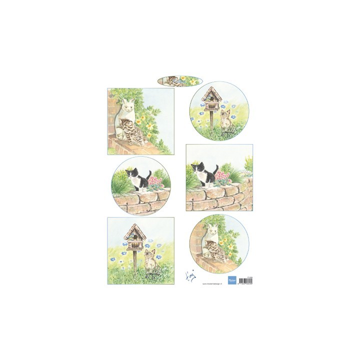 (IT608)3D - Tiny's kittens