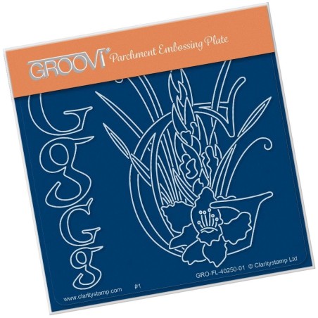 (GRO-FL-40250-01)Groovi® Baby plate A6 BARBARA'S FLORAL ALPHABET - G