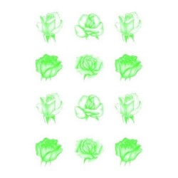 Pergamano vellum roses de couleur vert (62552)