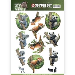 (SB10350)3D Pushout - Amy Design - Wild Animals 2 - Bears