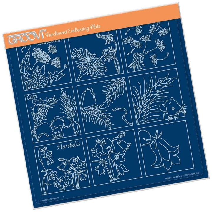 (GRO-FL-41237-15)Groovi Plate A4 LINDA'S 123 DANDELION & HAREBELLS