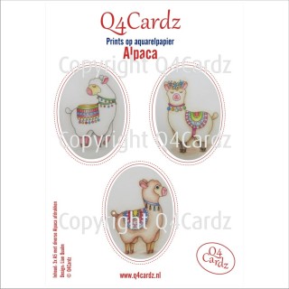 Q4Cardz Prints – Alpaca Aquarelpapier