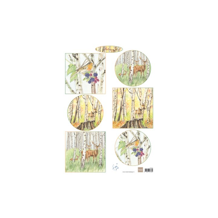 (IT612)3D - Tiny's Autumn