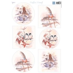 (MB0181)3D Mattie's Mooiste Winter birds