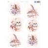 (MB0181)3D Mattie's Mooiste Winter birds