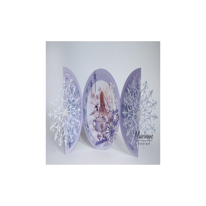 (MB0181)3D Mattie's Mooiste Winter birds