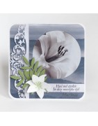 (LR0635)Creatables Classic Border
