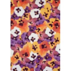 Pergamano vellum Violets (1F) (61707)