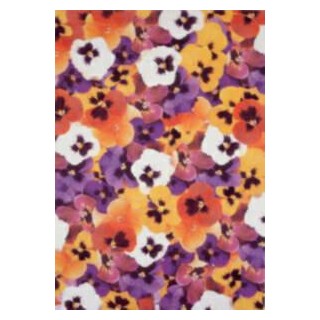 Pergamano vellum Violets (1S) (61707)