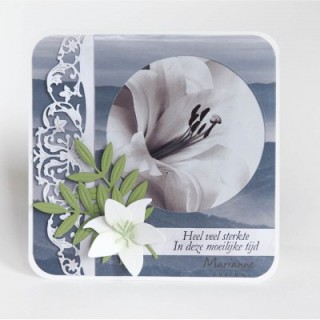 (CS1041)Clear stamp  Condoleance