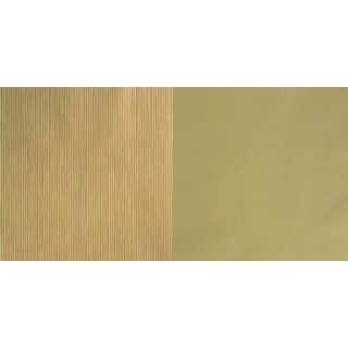 Pergamano Vellum Packungen Stripes / Green