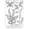 (TP3612E)PCA® - EasyEmboss Flowers & Leaves - 14