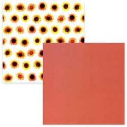 Pergamano Vellum Packungen Sonnenblume / Orange