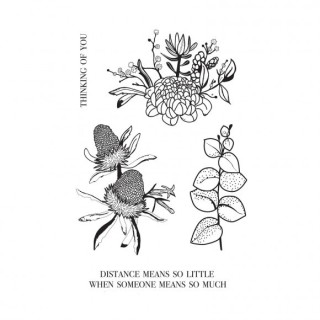 (CS378)Kaisercraft • Clear stamp Native breeze