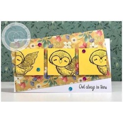 (CCSTMP018)Craft Consortium Olivia the Owl Clear Stamps