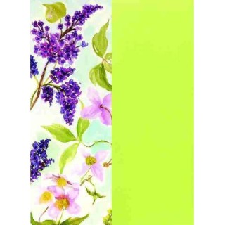 Pergamano Vellum Packungen Frühlingsblüte / grasgrün