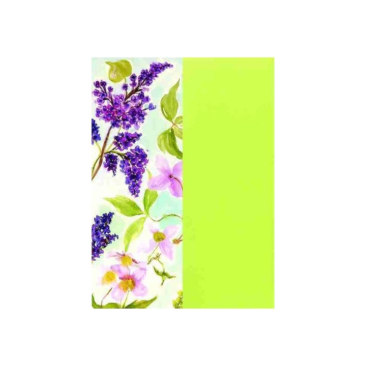 Pergamano Vellum pakketten lentebloesem / grasgroen
