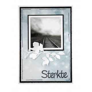 (6002/1451)Cutting embossing debossing dies flower & frame