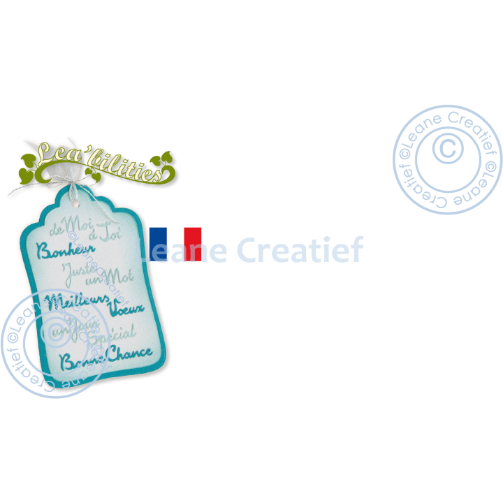 (45.6487)Lea'bilitie Cutting die Textes français 2