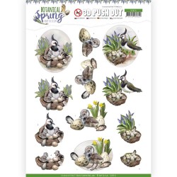 (SB10436)3D Pushout - Amy Design - Botanical Spring - Lapwing