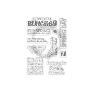 (PD8043)Polkadoodles Spring Wishes Sentiments Clear Stamps