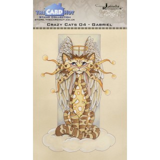 (LRCC004)The Card Hut Crazy Cats Gabriel Clear Stamps