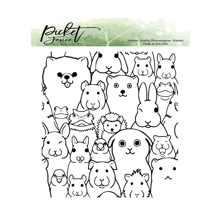 (A-141)Picket Fence Studios Say Cheese Clear Stamps
