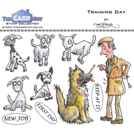(MBWWTD)The Card Hut Training Day Clear Stamps