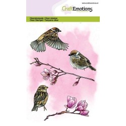 (1327)CraftEmotions clearstamps A6 - garden birds - sparrow