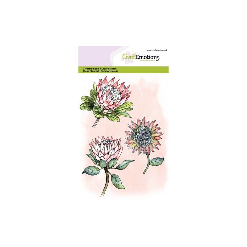 (1324)CraftEmotions clearstamps A6 - protea 3 flowers