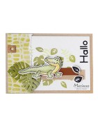 (LR0667)Creatables Tropical leaves
