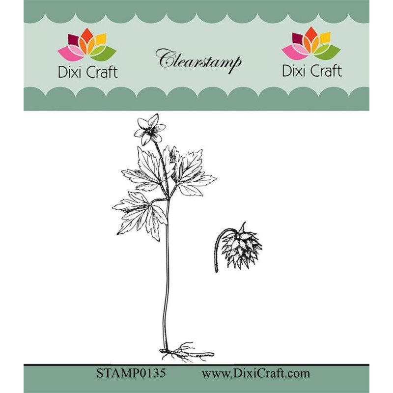 (STAMP0135)Dixi Craft Botanical Collection 1 Clear Stamp