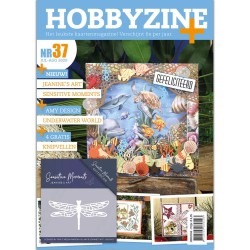 (HZ02004)Hobbyzine Plus 37