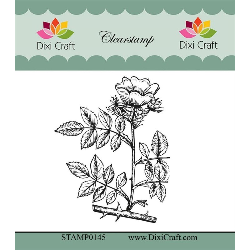 (STAMP0145)Dixi Craft Botanical Collection 11 Clear Stamp
