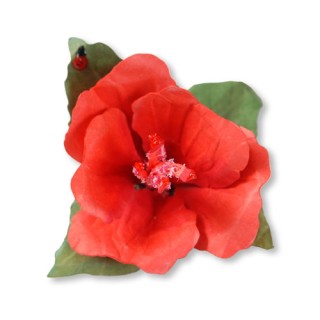 (658415)Thinlits Die Set 11PK - Flower, Hibiscus