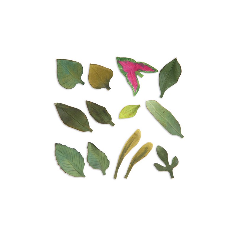 (658413)Thinlits Die Set 13PK -Leaves, Garden