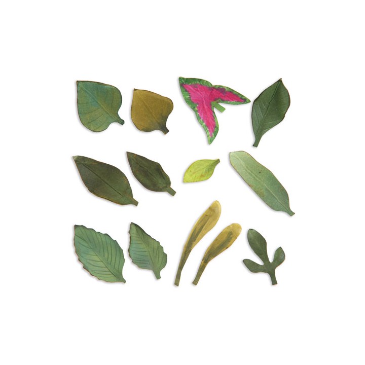 (658413)Thinlits Die Set 13PK -Leaves, Garden