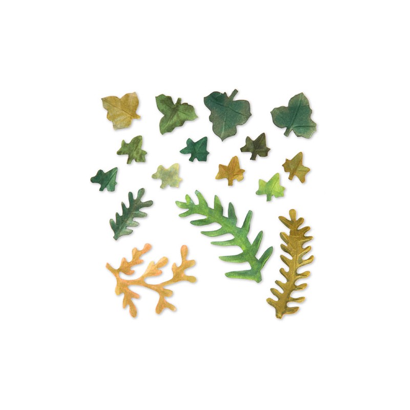 (658412)Thinlits Die Set 12PK -Leaves, Fern & Ivy