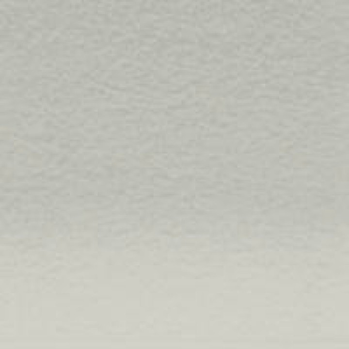 (2302699)Derwent Lightfast Wheat