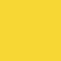 (2305695)Derwent Lightfast Yellow