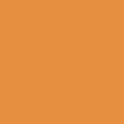 (2305700)Derwent Lightfast Apricot