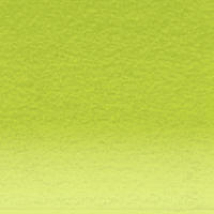 (2305741)Derwent Lightfast Foliage