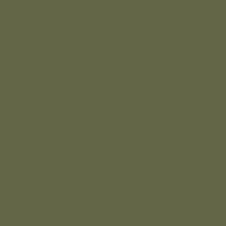 (2305742)Derwent Lightfast Ivy