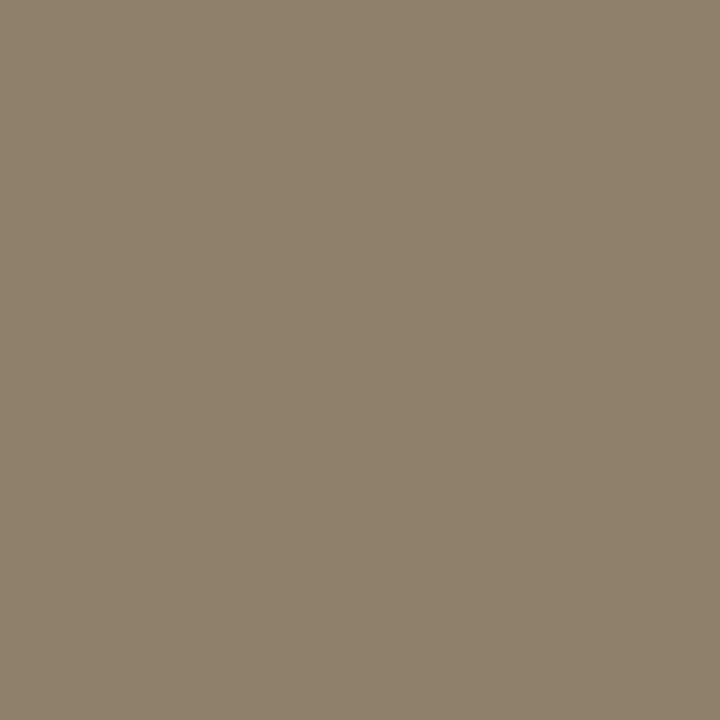 (2305745)Derwent Lightfast Warm Earth