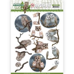 (SB10486)3D Push Out - Amy Design - Amazing Owls - Night Owls