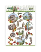 (SB10488)3D Push Out - Amy Design - Amazing Owls - Meadow Owls