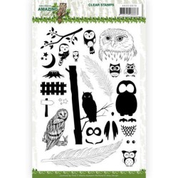 (ADCS10070)Clear Stamps - Amy Design - Amazing Owls