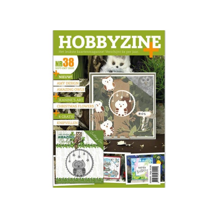 (HZ02005)Hobbyzine Plus 38