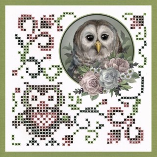 (SPDO043)Sparkles Set 43 - Amy Design - Amazing Owls - Romantic Owls