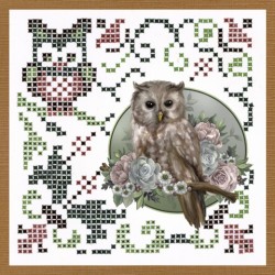 (SPDO043)Sparkles Set 43 - Amy Design - Amazing Owls - Romantic Owls